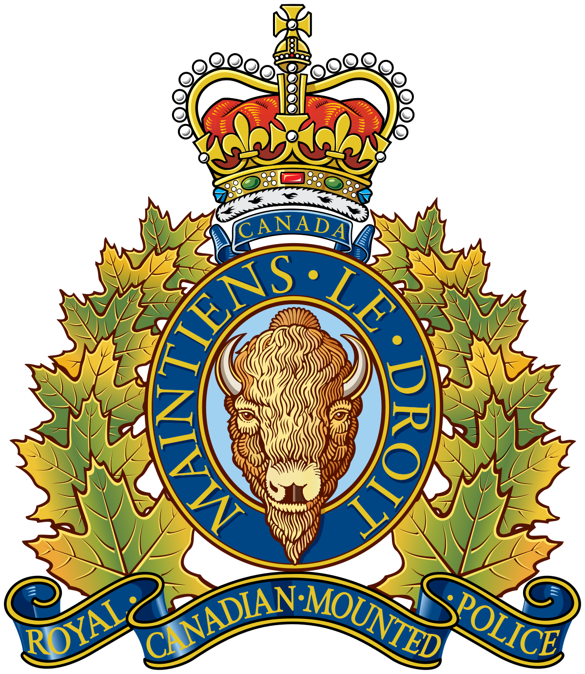 Canadian firearm possession and acquisition license.